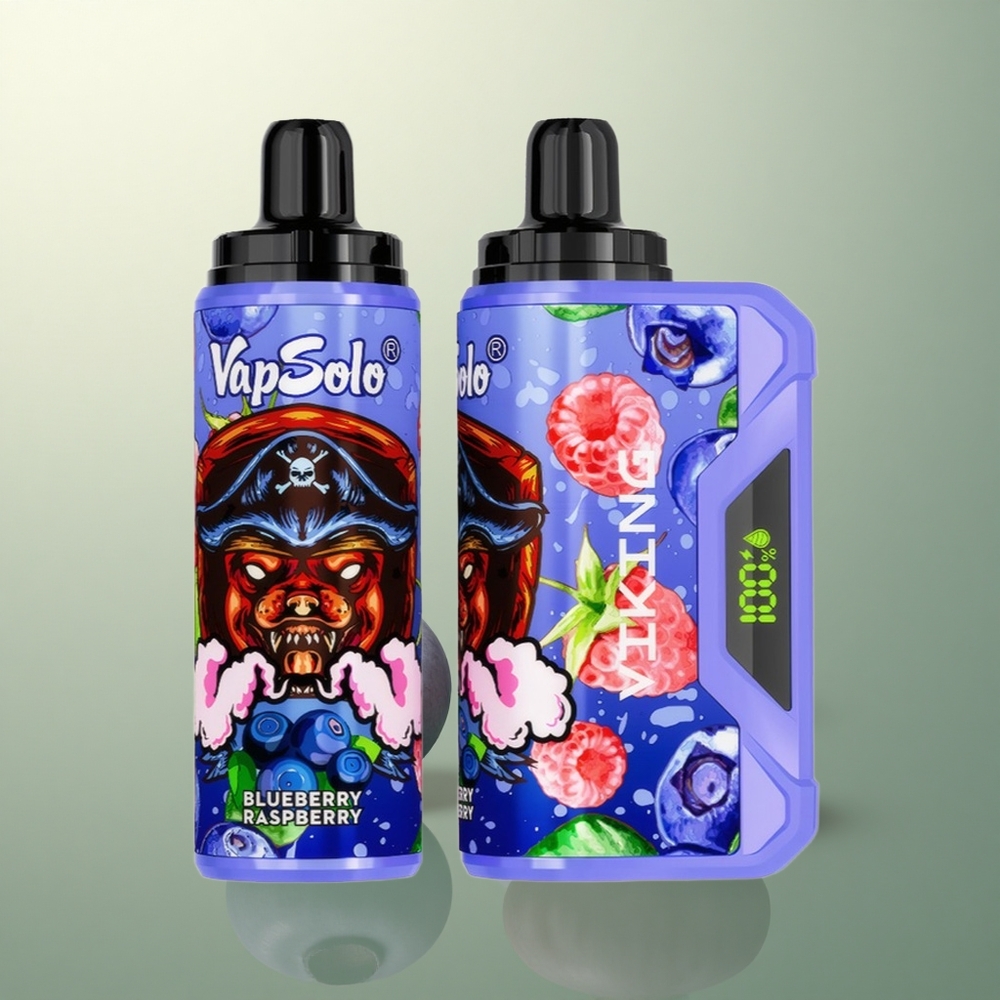 VapSolo VIKING 12000 Puffs Blueberry Raspberry Type-C 22ml Nicotine 20mg/ml