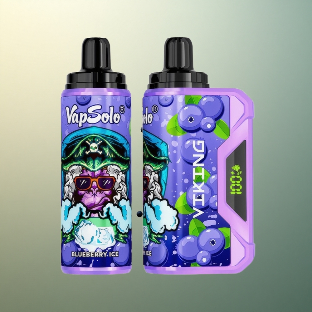 VapSolo VIKING 12000 Puffs Blueberry Type-C 22ml Nicotine 20mg/ml