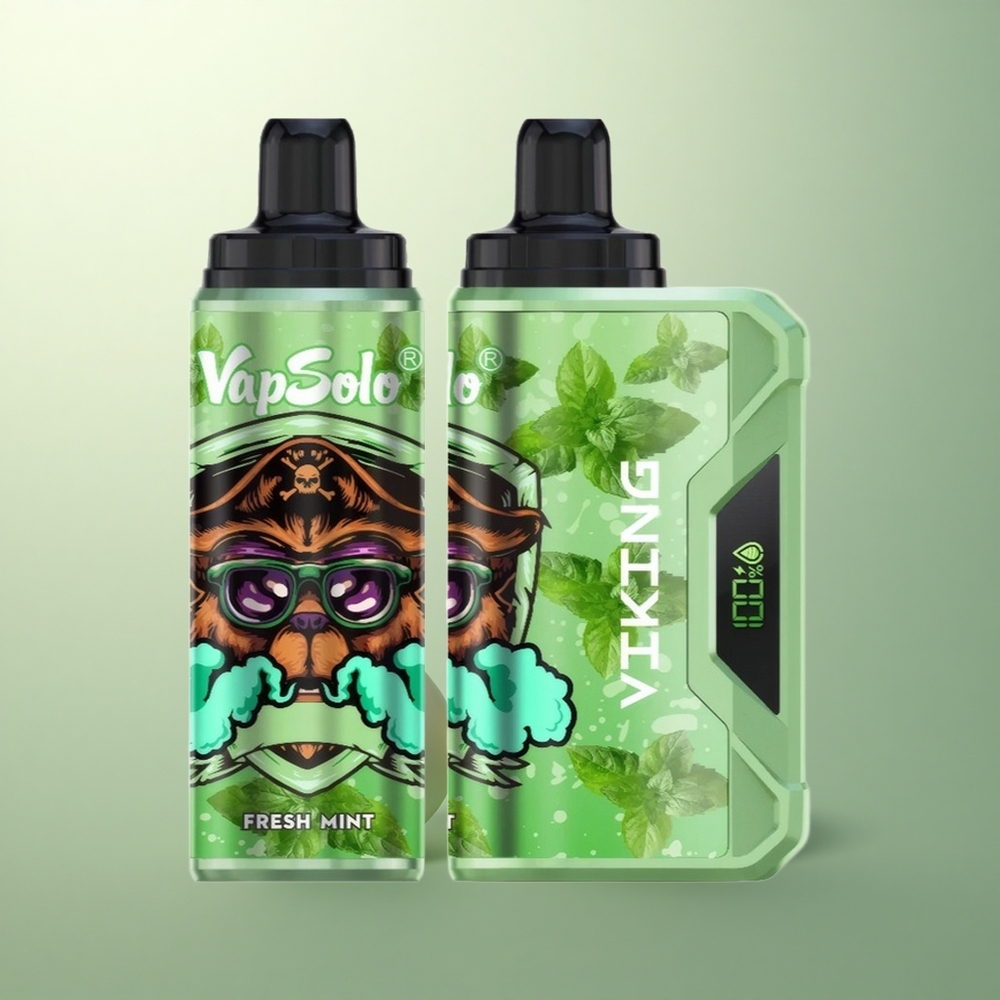 VapSolo VIKING 12000 Puffs Fresh Mint 22ml Type-C Nicotine